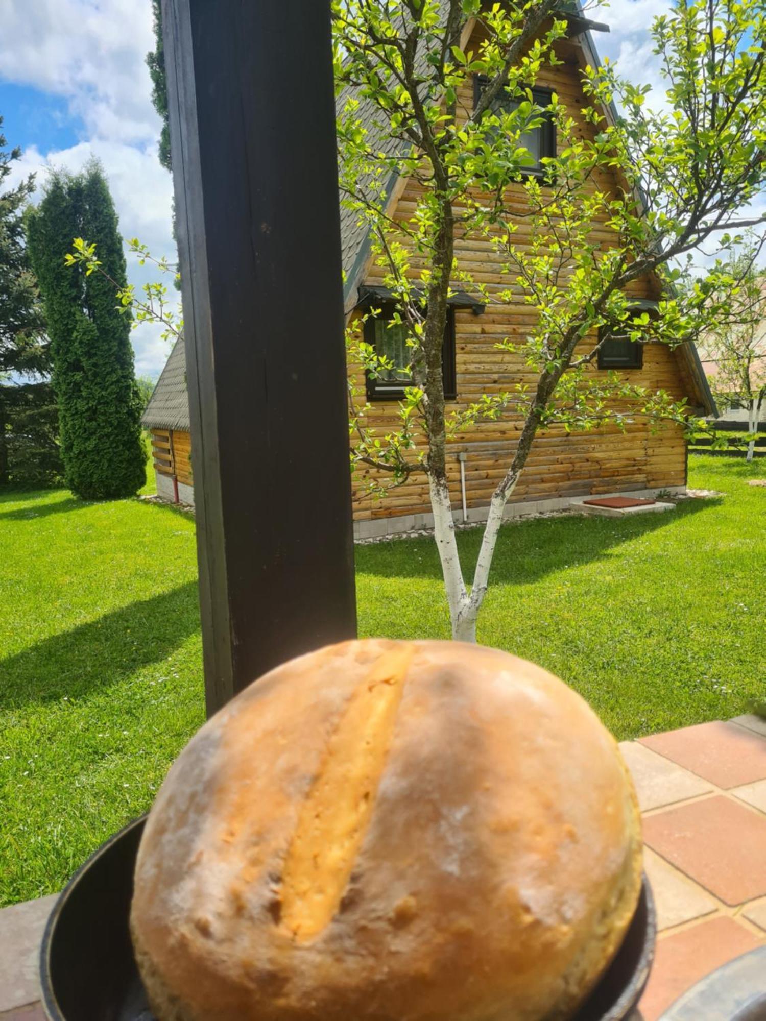 Chalet Velebitska Kuca ヴェリカ・プラナ エクステリア 写真